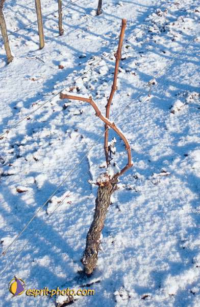 Nom de l'image : EG-Nat-10 — Description :