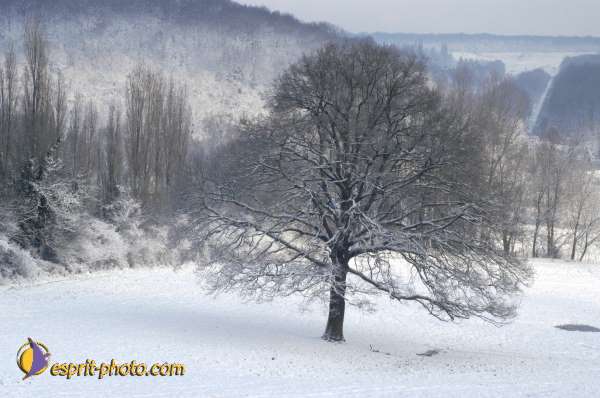 Nom de l'image : EG-Nat-540 — Description :