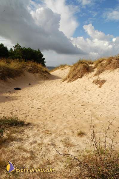 Nom de l'image : D1158744-01 — Description :  Vagues (Atlantique - Portugal - Dunes de la Costa do Prata)