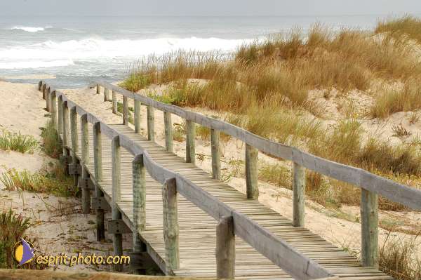 Nom de l'image : D1159252-01 — Description :  Vagues (Atlantique - Portugal - Dunes de la Costa do Prata)