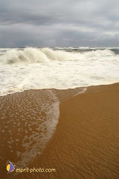 Nom de l'image : D1159552-01 — Description :  Vagues (Atlantique - Portugal - Dunes de la Costa do Prata)