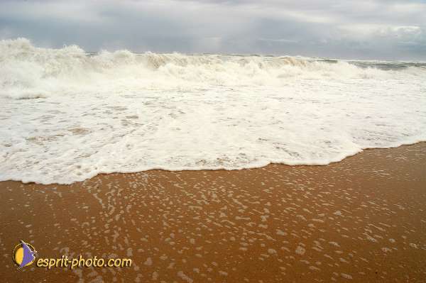 Nom de l'image : D1159570-01 — Description :  Vagues (Atlantique - Portugal - Dunes de la Costa do Prata)
