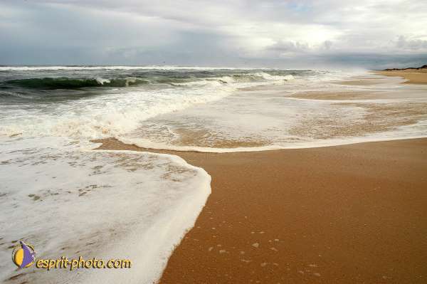Nom de l'image : D1159581-01 — Description :  Vagues (Atlantique - Portugal - Dunes de la Costa do Prata)
