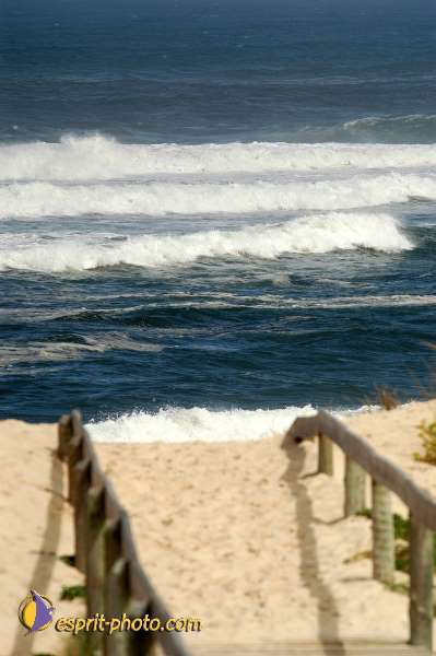Nom de l'image : D1159794-01 — Description :  Vagues (Atlantique - Portugal - Costa do Prata)