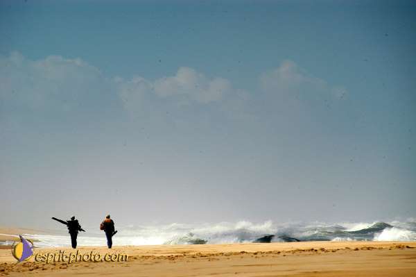 Nom de l'image : D1159855-01 — Description :  Vagues (Atlantique - Portugal - Costa do Prata)