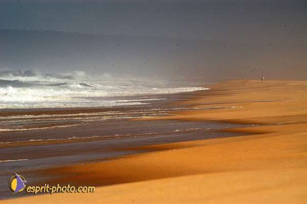 Nom de l'image : D1160036-01 — Description :  Vagues (Atlantique - Portugal - Costa do Prata)