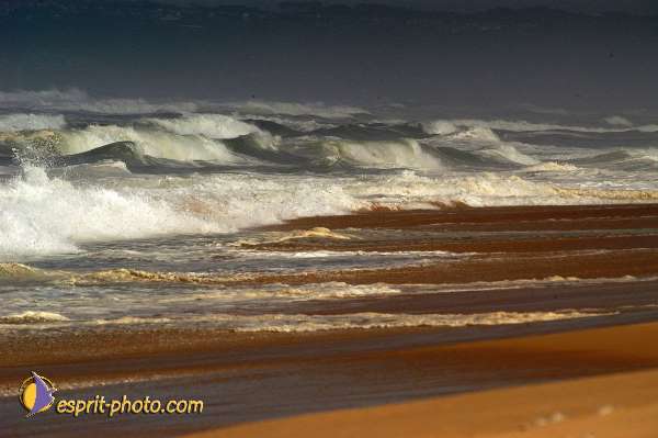 Nom de l'image : D1160061-01 — Description :  Vagues (Atlantique - Portugal - Costa do Prata)