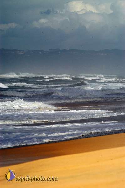 Nom de l'image : D1160081-01 — Description :  Vagues (Atlantique - Portugal - Costa do Prata)