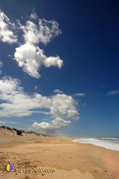 Nom de l'image : D1160113-01 — Description :  Vagues (Atlantique - Portugal - Costa do Prata)