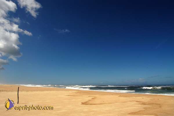 Nom de l'image : D1160137-01 — Description :  Vagues (Atlantique - Portugal - Costa do Prata)
