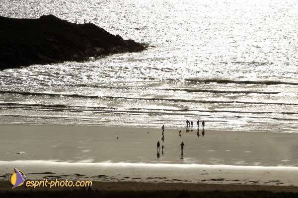 Nom de l'image : E00009092-01 — Description :