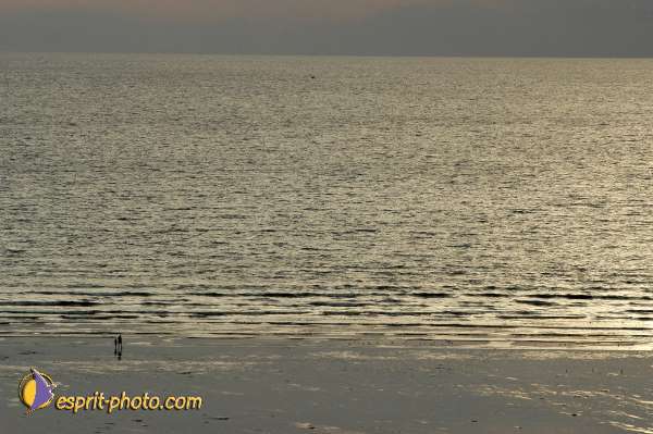 Nom de l'image : E00009096-01 — Description :