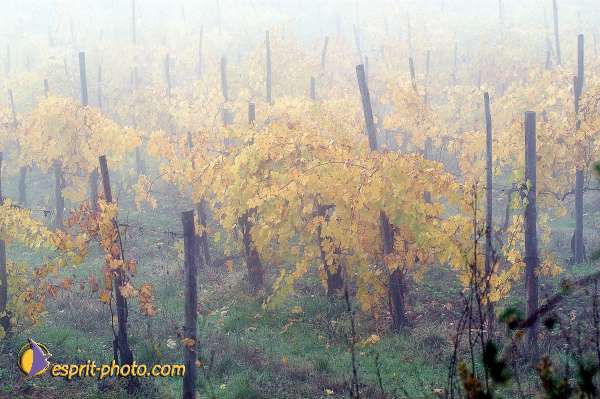 Nom de l'image : D1086917-01 — Description :