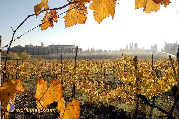 Nom de l'image : D1087153-01 — Description :