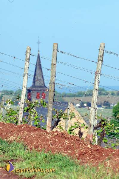 Nom de l'image : D1133235-nef-01 — Description :