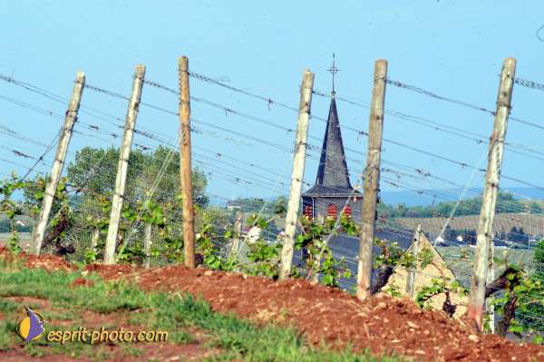 Nom de l'image : D1133241-nef-01 — Description :