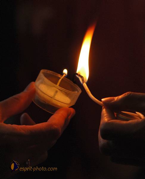 Nom de l'image : D2038593-R — Description :