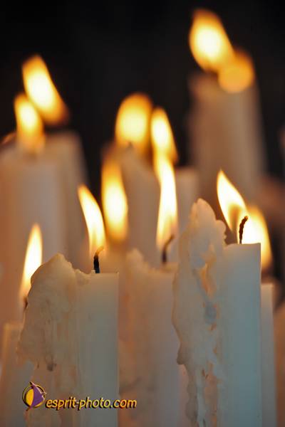 Nom de l'image : PBxvi_8926_D30030337_1 — Description :