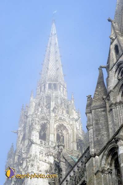 Nom de l'image : D1107482-nef-01 — Description :