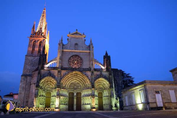 Nom de l'image : D1117674-nef-01 — Description :