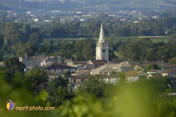 Nom de l'image : DSC_0455 — Description :