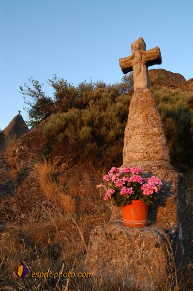 Nom de l'image : D1154006-01 — Description :