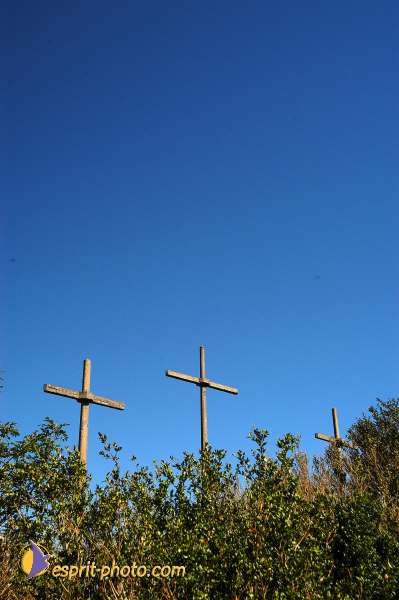 Nom de l'image : D1165601-01 — Description :  Lourdes 2004 - Pèlerinage du Pape à Lourdes