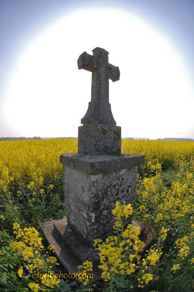 Nom de l'image : D2162669_1 — Description :