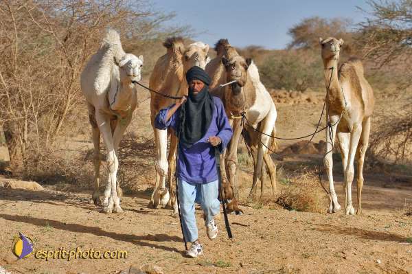 Nom de l'image : D1228846-1 — Description :  Sur les pas de Charles de Foucault - Tamanrasset-Assekrem