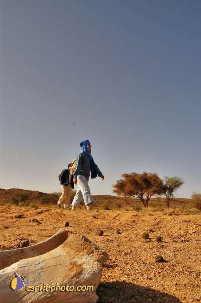 Nom de l'image : D1229003-1 — Description :  Sur les pas de Charles de Foucault - Tamanrasset-Assekrem