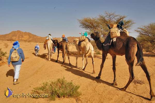 Nom de l'image : D1229011-1 — Description :  Sur les pas de Charles de Foucault - Tamanrasset-Assekrem