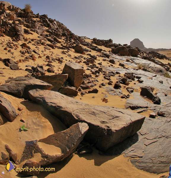 Nom de l'image : D1229108-2 — Description :