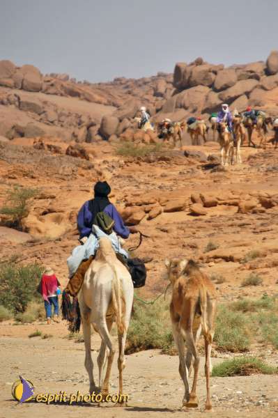Nom de l'image : D1229169-1 — Description :  Sur les pas de Charles de Foucault - Tamanrasset-Assekrem