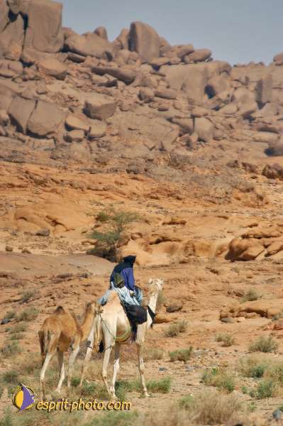 Nom de l'image : D1229175-1 — Description :  Sur les pas de Charles de Foucault - Tamanrasset-Assekrem