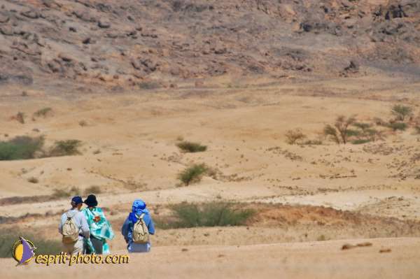 Nom de l'image : D1229265-1 — Description :  Sur les pas de Charles de Foucault - Tamanrasset-Assekrem