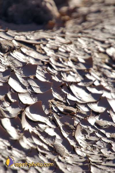 Nom de l'image : D1230323-1 — Description :  Sur les pas de Charles de Foucault - Tamanrasset-Assekrem