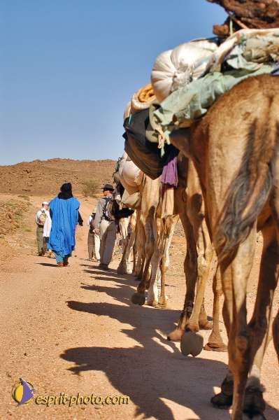 Nom de l'image : D1231776-1 — Description :  Sur les pas de Charles de Foucault - Tamanrasset-Assekrem