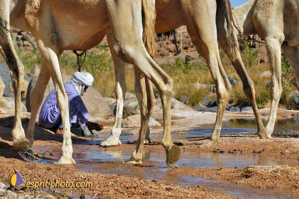 Nom de l'image : D1231821-1 — Description :  Sur les pas de Charles de Foucault - Tamanrasset-Assekrem