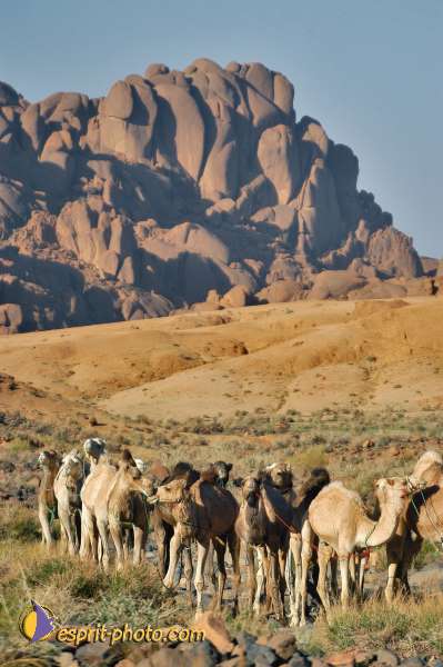 Nom de l'image : D1233760-1 — Description :  Sur les pas de Charles de Foucault - Tamanrasset-Assekrem
