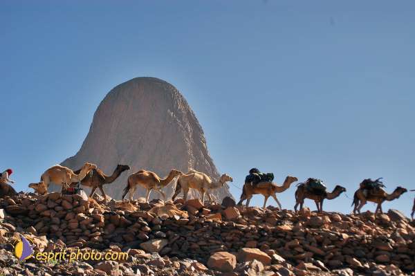 Nom de l'image : D1234041-1 — Description :  Sur les pas de Charles de Foucault - Tamanrasset-Assekrem