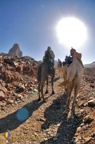 Nom de l'image : D1234064-1 — Description :  Sur les pas de Charles de Foucault - Tamanrasset-Assekrem