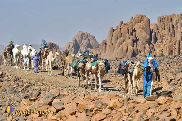 Nom de l'image : D1234065-1 — Description :  Sur les pas de Charles de Foucault - Tamanrasset-Assekrem