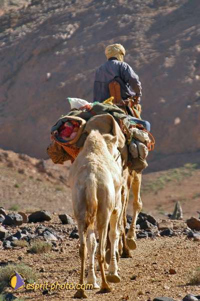 Nom de l'image : D1235329-1 — Description :  Sur les pas de Charles de Foucault - Tamanrasset-Assekrem