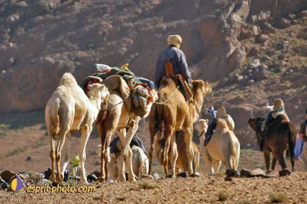 Nom de l'image : D1235334-1 — Description :  Sur les pas de Charles de Foucault - Tamanrasset-Assekrem