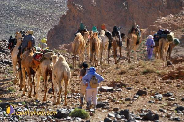 Nom de l'image : D1235359-1 — Description :  Sur les pas de Charles de Foucault - Tamanrasset-Assekrem