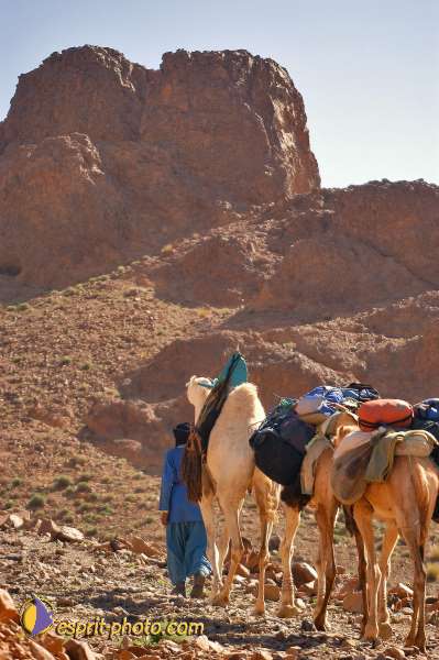 Nom de l'image : D1235378-1 — Description :  Sur les pas de Charles de Foucault - Tamanrasset-Assekrem