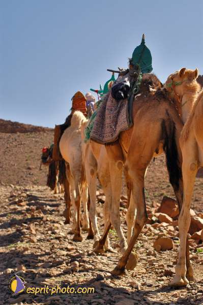Nom de l'image : D1235382-1 — Description :  Sur les pas de Charles de Foucault - Tamanrasset-Assekrem