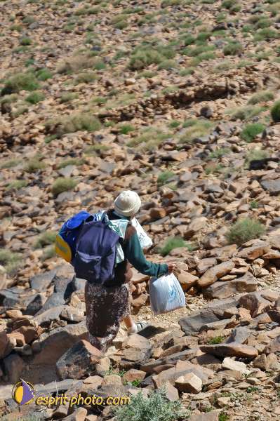Nom de l'image : D1235665-1 — Description :  Sur les pas de Charles de Foucault - Tamanrasset-Assekrem