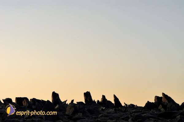 Nom de l'image : D1235981-1 — Description :  Sur les pas de Charles de Foucault - Tamanrasset-Assekrem