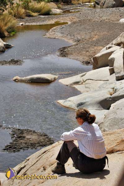 Nom de l'image : D1236635-1 — Description :  Sur les pas de Charles de Foucault - Tamanrasset-Assekrem